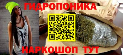 спайс Малгобек