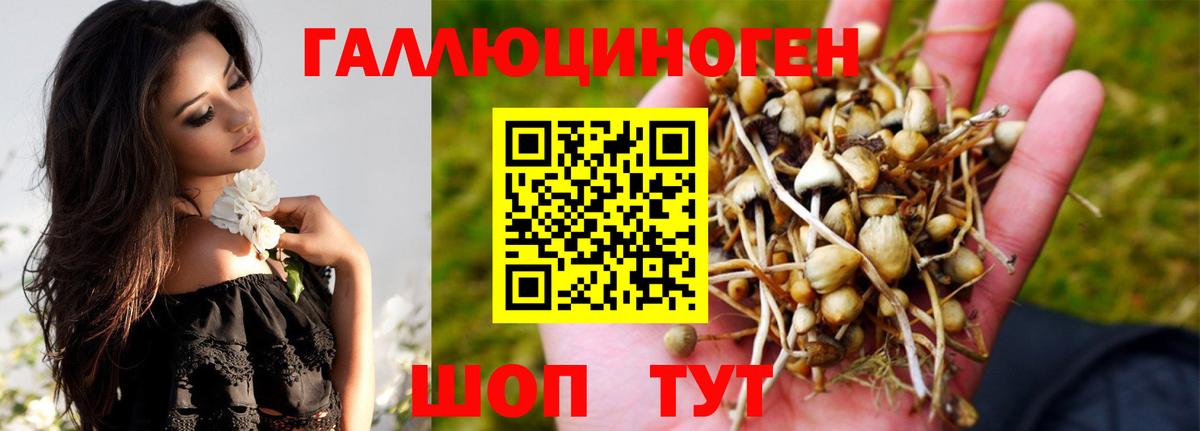 Буйнакск  Галлюциногенные грибы прущие грибы  Вход с VPN 